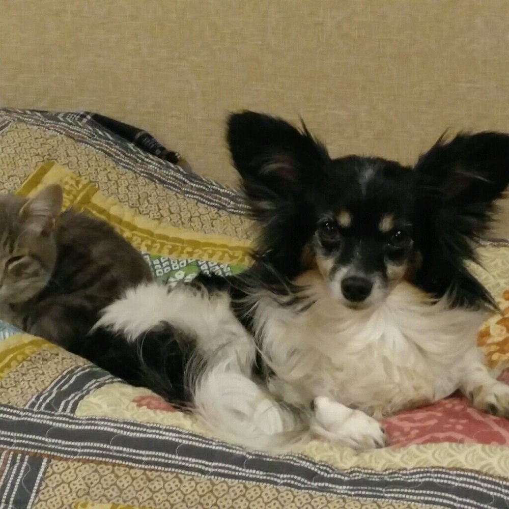 Meet your Posher, Sandra